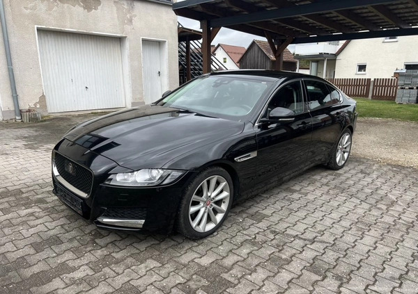 Jaguar XF cena 69900 przebieg: 38000, rok produkcji 2017 z Szubin małe 232